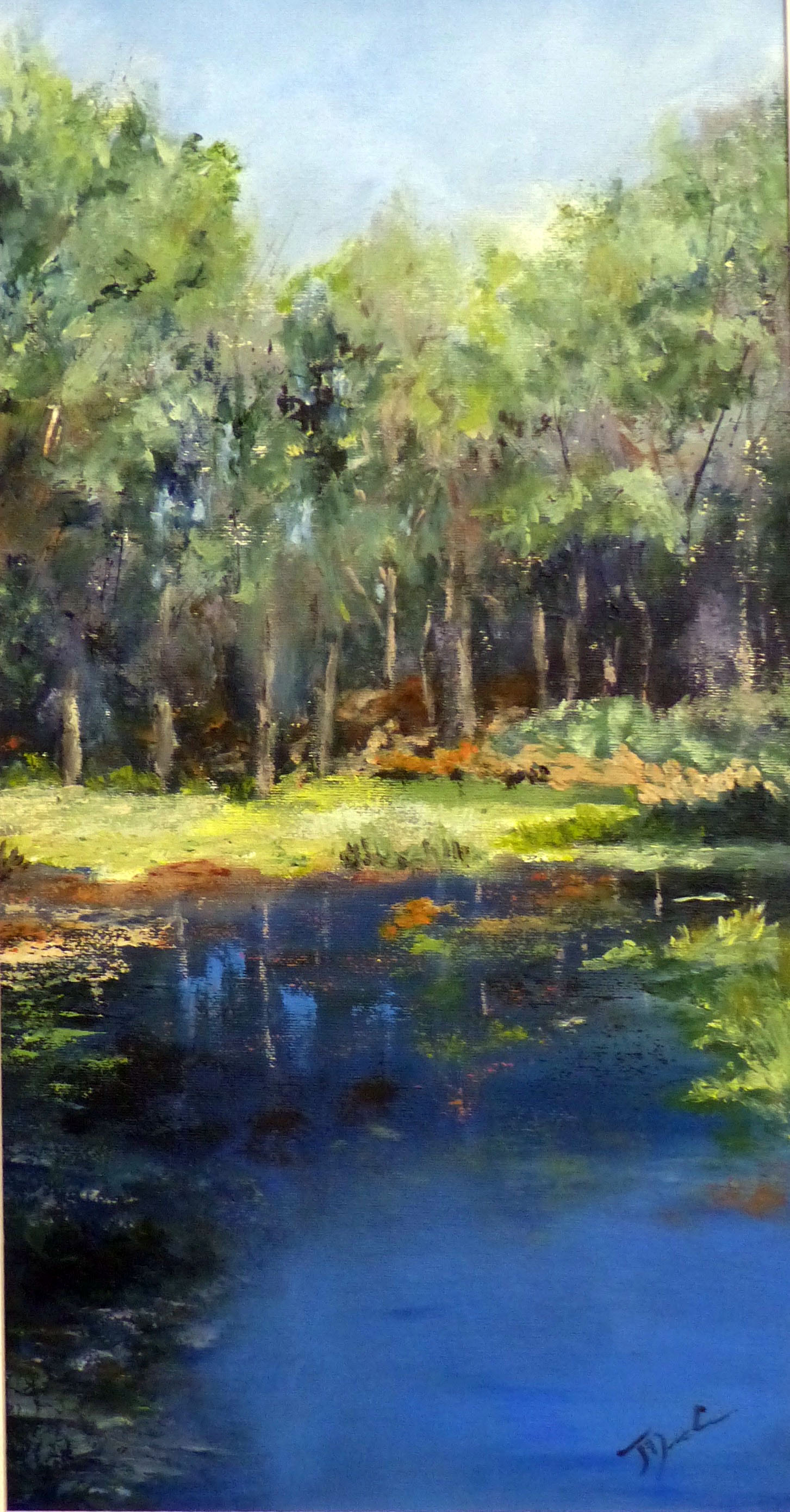 Blue Pool Wareham